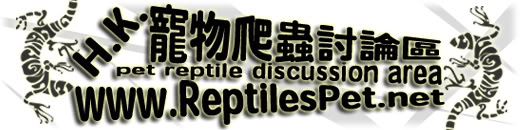 Forum Logo